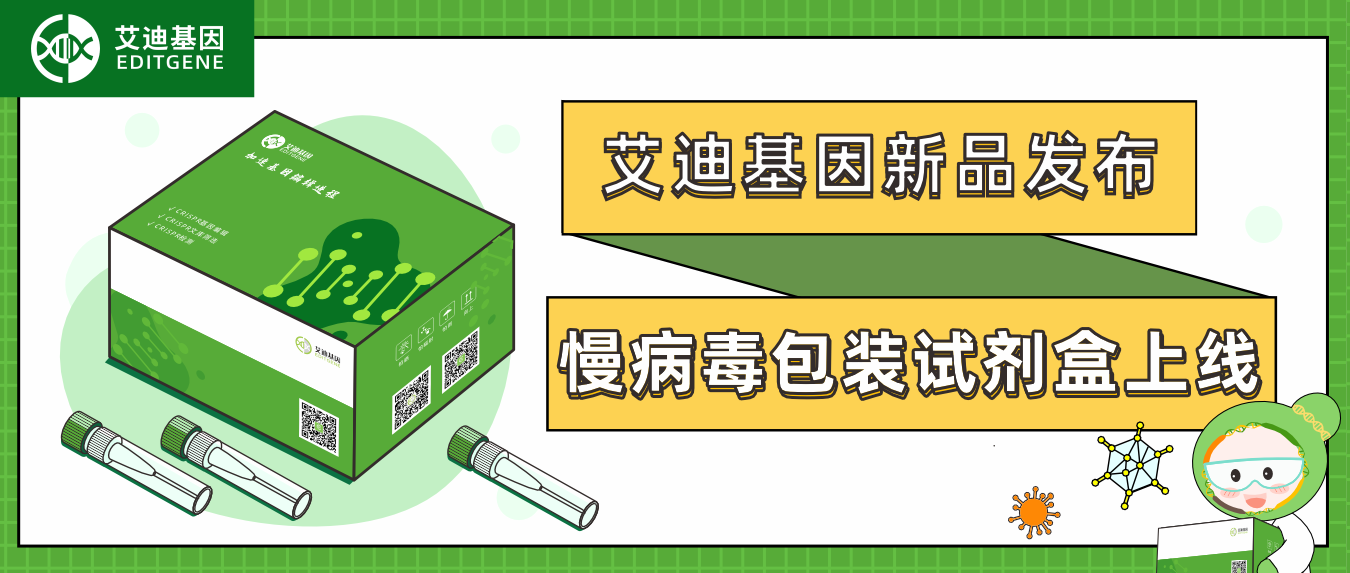 球盟会生物基因慢病毒包装试剂盒全新上线！高滴度高效率，自主操作无忧下游实验！
